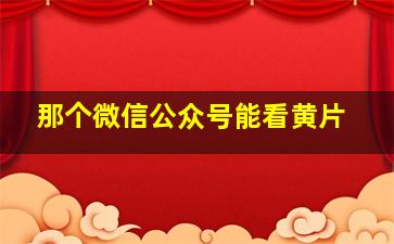 那个微信公众号能看黄片