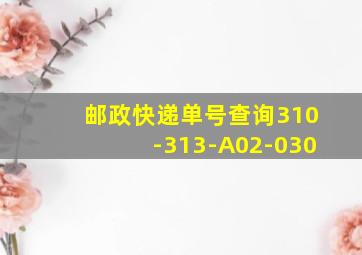 邮政快递单号查询310-313-A02-030