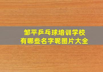 邹平乒乓球培训学校有哪些名字呢图片大全