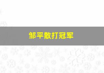 邹平散打冠军