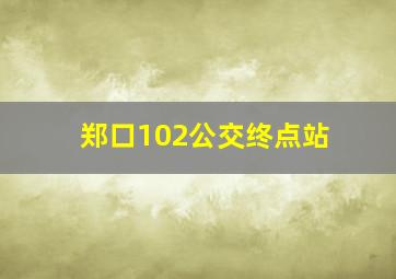 郑口102公交终点站