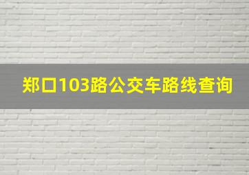 郑口103路公交车路线查询