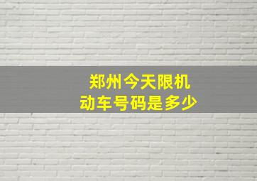 郑州今天限机动车号码是多少