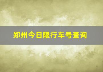 郑州今日限行车号查询