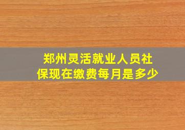 郑州灵活就业人员社保现在缴费每月是多少