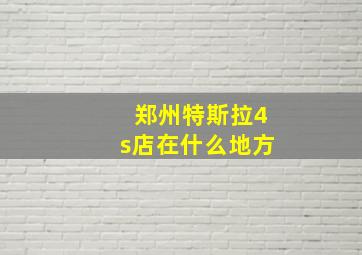 郑州特斯拉4s店在什么地方