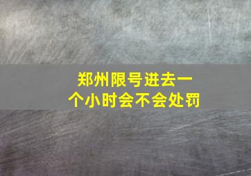 郑州限号进去一个小时会不会处罚