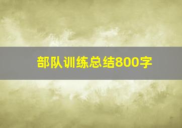 部队训练总结800字