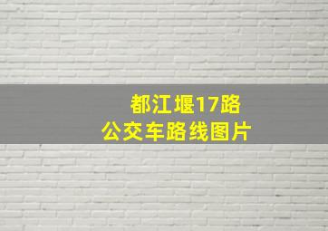 都江堰17路公交车路线图片