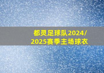 都灵足球队2024/2025赛季主场球衣