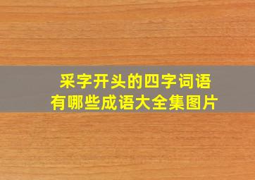 采字开头的四字词语有哪些成语大全集图片