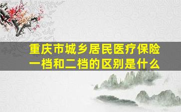 重庆市城乡居民医疗保险一档和二档的区别是什么