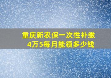 重庆新农保一次性补缴4万5每月能领多少钱