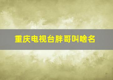 重庆电视台胖哥叫啥名