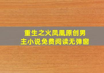 重生之火凤凰原创男主小说免费阅读无弹窗