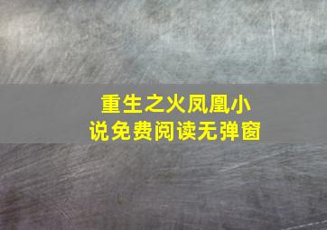 重生之火凤凰小说免费阅读无弹窗