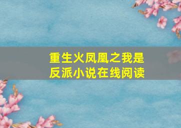 重生火凤凰之我是反派小说在线阅读