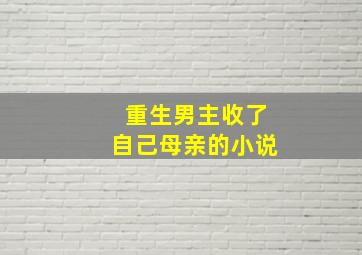 重生男主收了自己母亲的小说