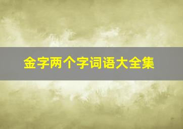 金字两个字词语大全集