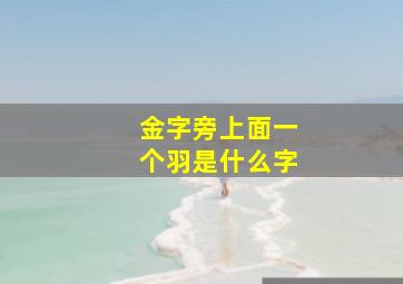 金字旁上面一个羽是什么字