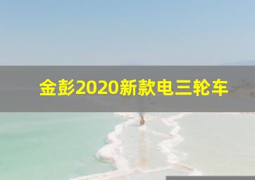 金彭2020新款电三轮车