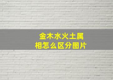 金木水火土属相怎么区分图片