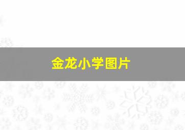 金龙小学图片