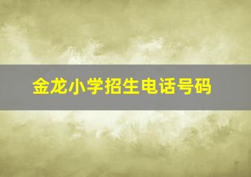 金龙小学招生电话号码