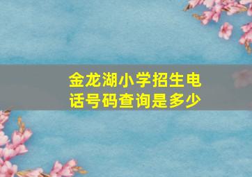 金龙湖小学招生电话号码查询是多少