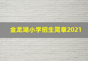 金龙湖小学招生简章2021