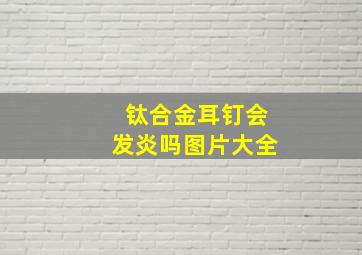 钛合金耳钉会发炎吗图片大全