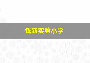 钱新实验小学