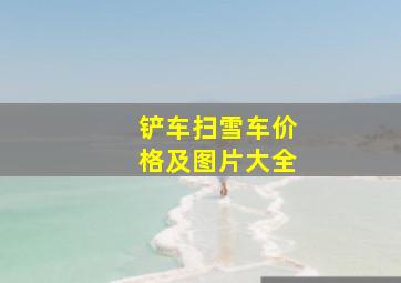 铲车扫雪车价格及图片大全