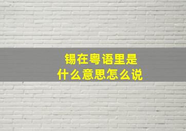 锡在粤语里是什么意思怎么说