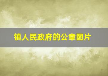 镇人民政府的公章图片