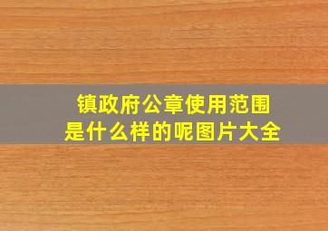 镇政府公章使用范围是什么样的呢图片大全