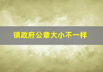 镇政府公章大小不一样