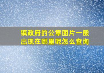 镇政府的公章图片一般出现在哪里呢怎么查询