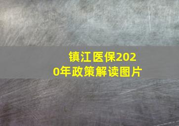 镇江医保2020年政策解读图片