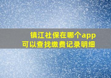 镇江社保在哪个app可以查找缴费记录明细