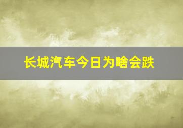 长城汽车今日为啥会跌