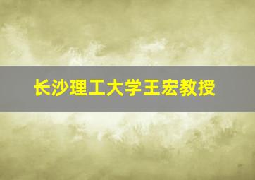 长沙理工大学王宏教授