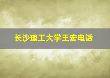 长沙理工大学王宏电话