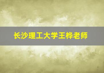 长沙理工大学王桦老师