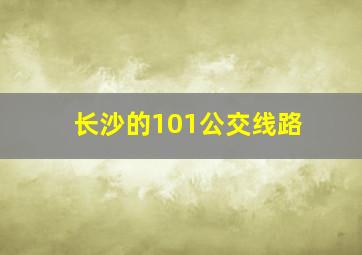 长沙的101公交线路