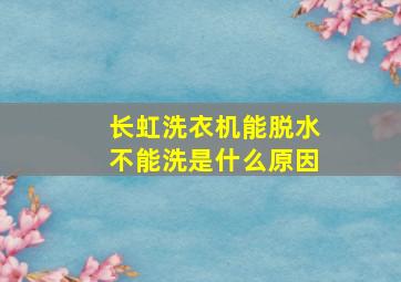 长虹洗衣机能脱水不能洗是什么原因