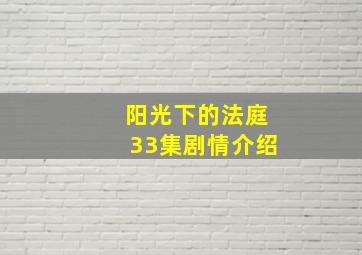 阳光下的法庭33集剧情介绍