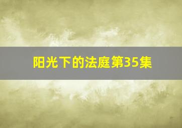 阳光下的法庭第35集