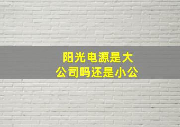 阳光电源是大公司吗还是小公