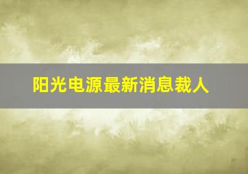 阳光电源最新消息裁人